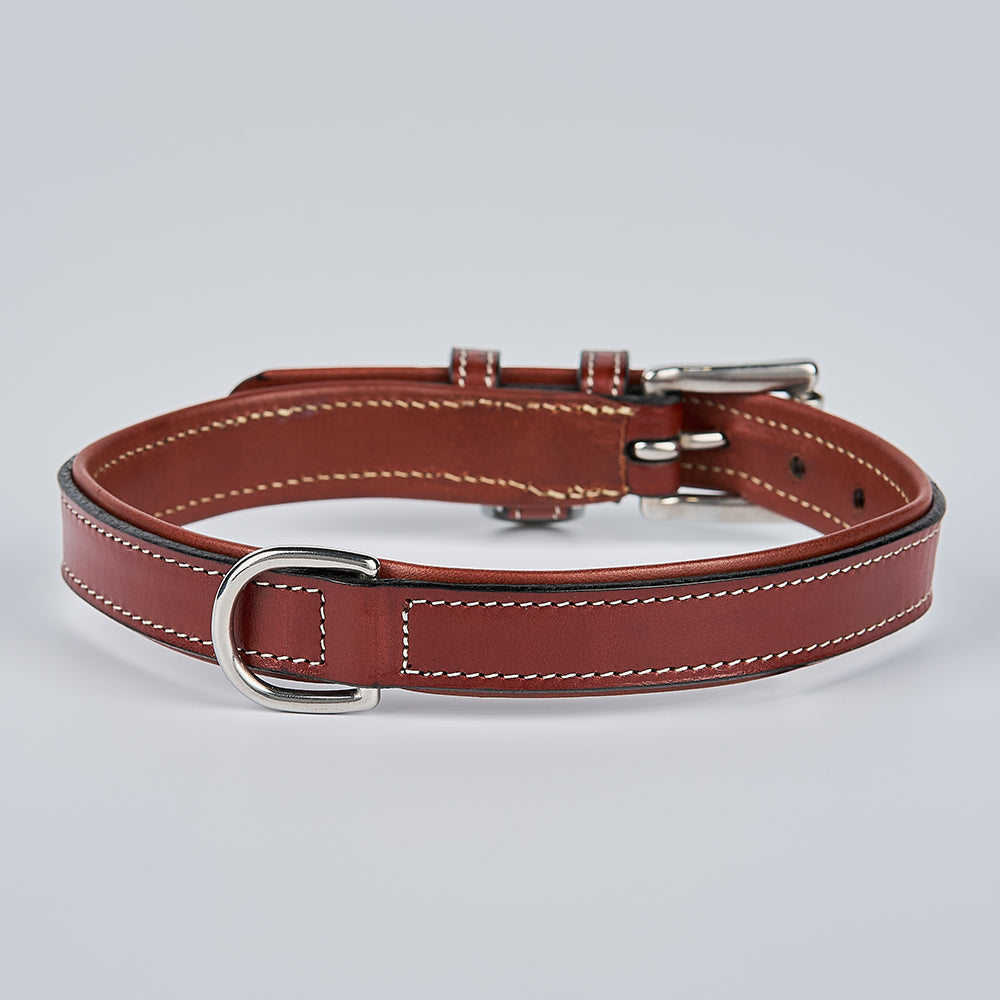 The Hanks Belts Rover Standard Collar is a premium vegetable-tanned leather dog collar with white stitching, a silver buckle, and D-ring, shown on a plain light gray background.
