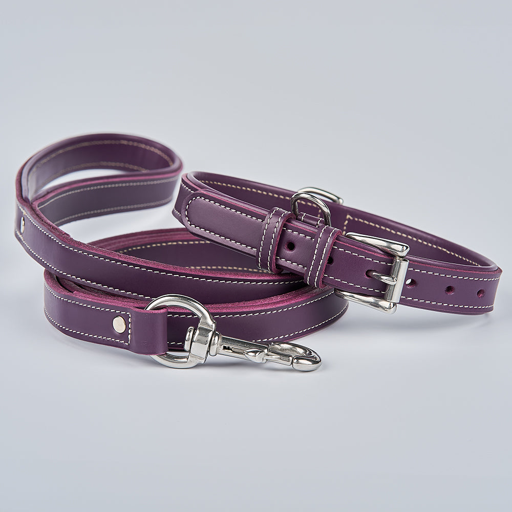 The Hanks Belts Rover Standard Collar and matching leash in premium purple leather with silver hardware are shown coiled on a light gray background. The collar includes a buckle, while the leash features a metal clasp.
