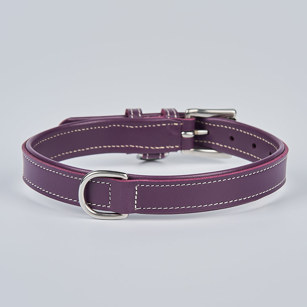 The Rover Standard Collar by Hanks Belts is a premium purple leather dog collar with white stitching, silver buckle, metal D-ring, and multiple adjustment holes, made from vegetable tanned leather and shown on a light grey background.
