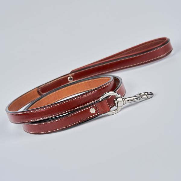 USA Made Dog Leash With Padded Collar - Hanks Belts