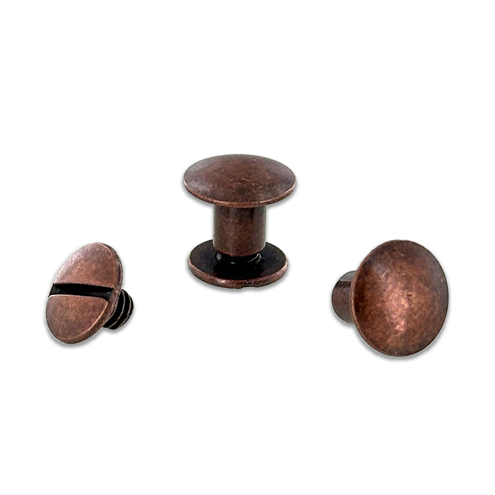 2 pack Antique Copper 1/4" Chicago Screws Hero Image