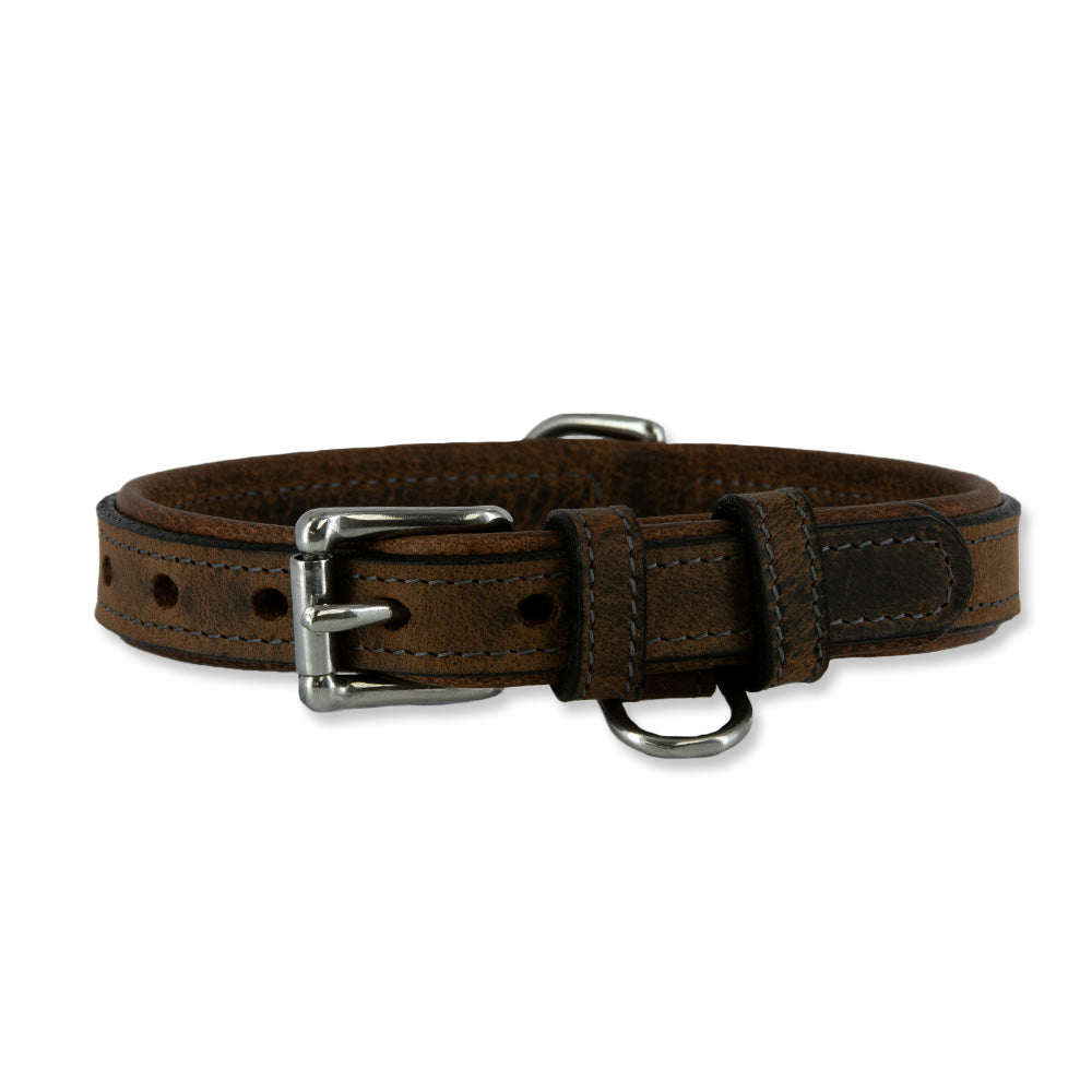 Experience rugged durability with the Kodak Bison Collar from Hanks Belts. This brown collar features a metal buckle, adjustment holes, and a D-ring for leash attachment, all showcased on a white background.