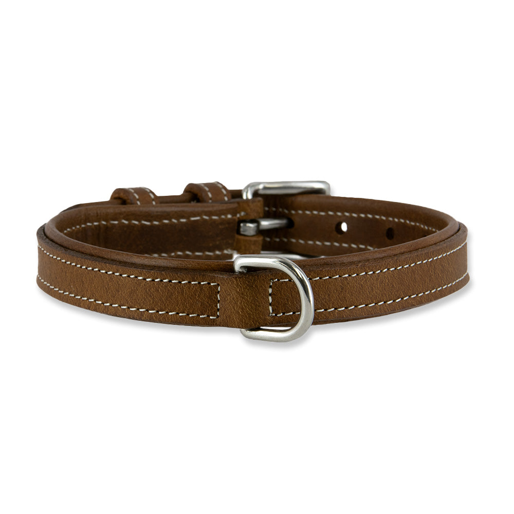 The Kodak Bison Collar by Hanks Belts features premium brown bison leather, white stitching, a durable metal buckle and D-ring, shown on a white background.