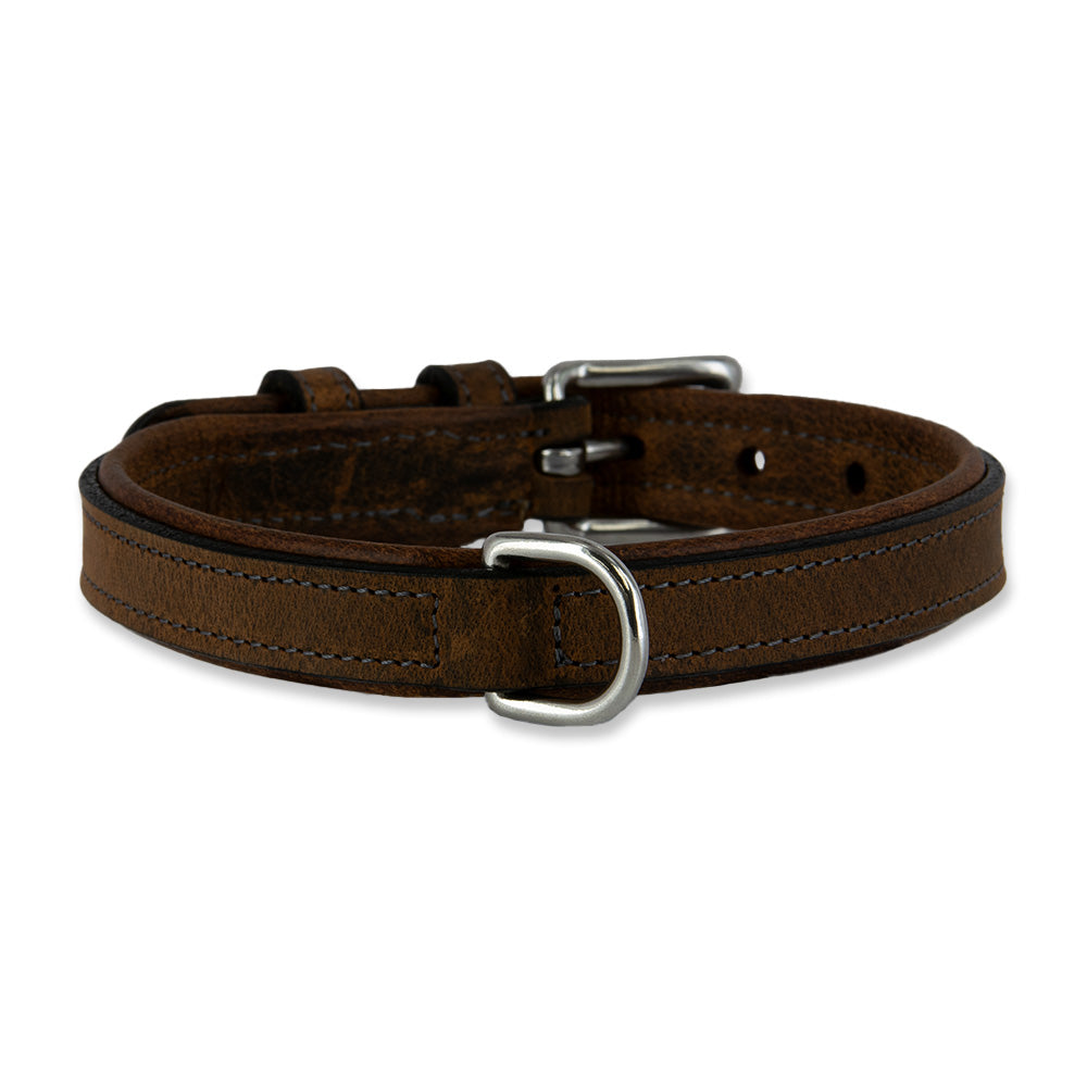 The Hanks Belts Kodak Bison Collar is made from premium bison leather with detailed stitching, a metal buckle, and D-ring—delivering rugged durability and classic style for your dog.