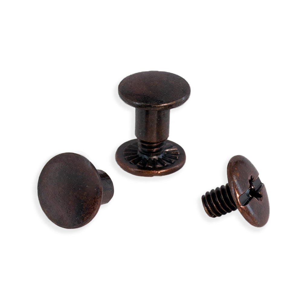 bronze 1/4" Chicago screws on white background