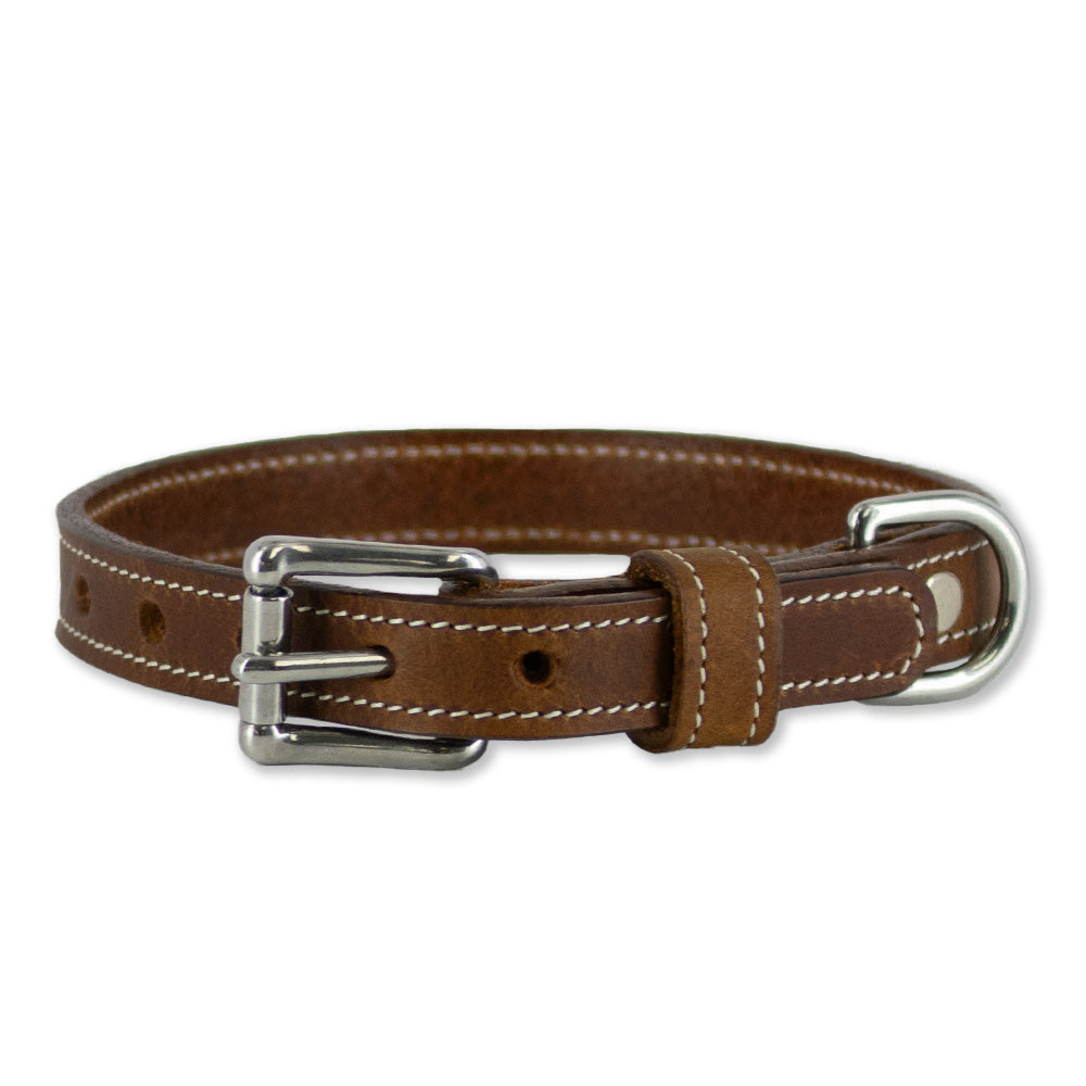 The Ollie Bison Collar by Hanks Belts, shown in Peanut with white stitching, is crafted from premium bison leather and features stainless steel hardware, a metal buckle, and multiple adjustment holes. Displayed on a white background.