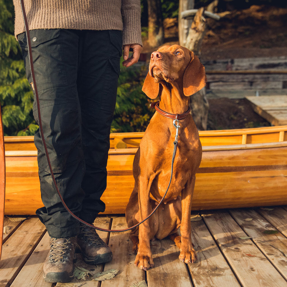 A person in black pants and boots stands on a wooden dock with a brown dog on a Hanks Belts Bentley Raised Collar leash, with a yellow canoe and trees in the background.