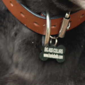 Large Leather Dog Collars