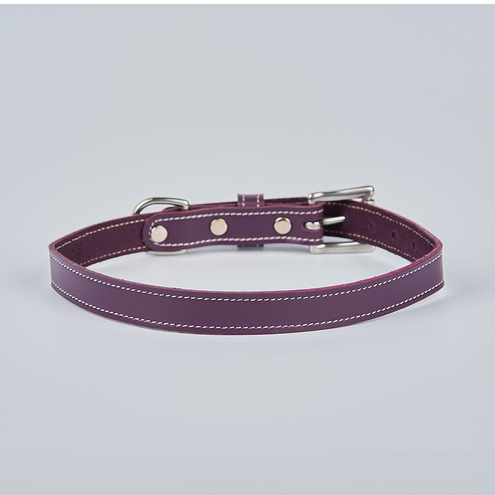 The Old Reliable Collar by Hanks Belts, made of premium leather in purple with white stitching, metal rivets, and a silver buckle, is shown in a circular shape on a light gray background.
