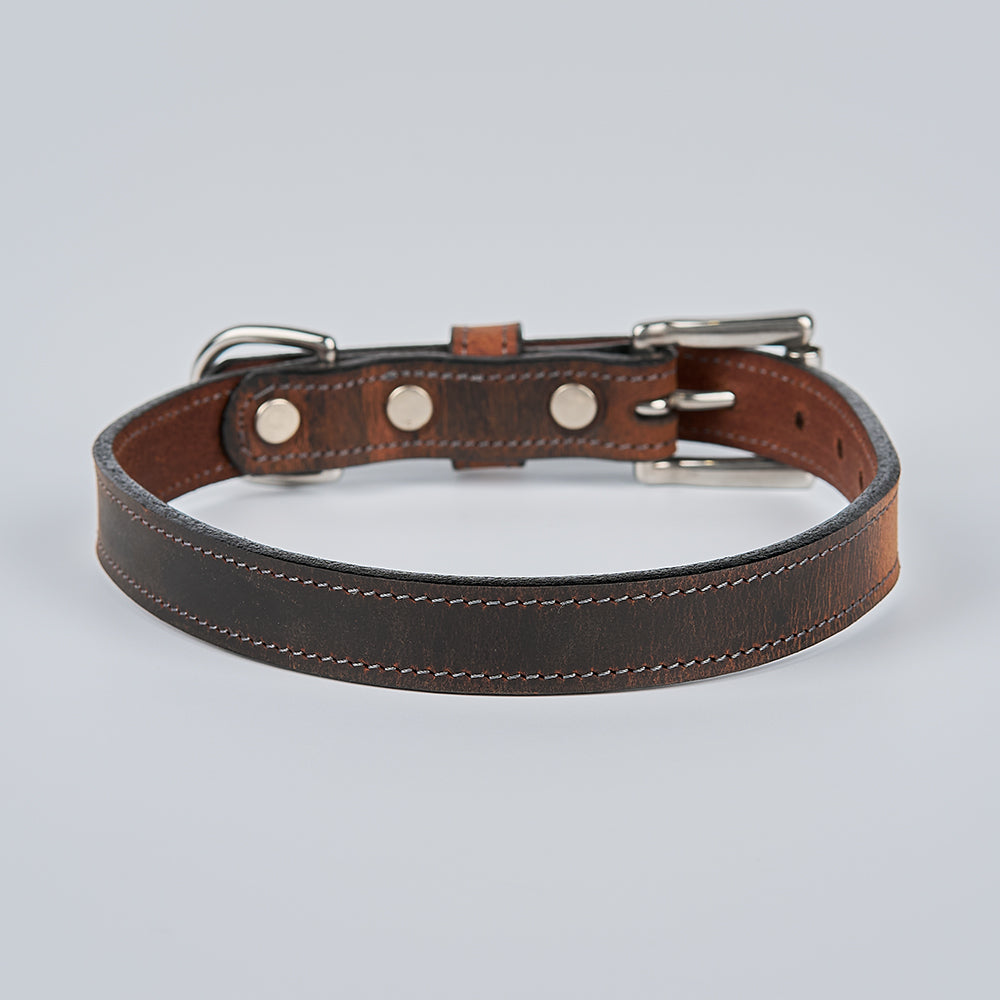 The Ollie Bison Collar by Hanks Belts is a stylish brown leather dog collar with a metal buckle, D-ring, and three metal rivets, shown on a plain light gray background.