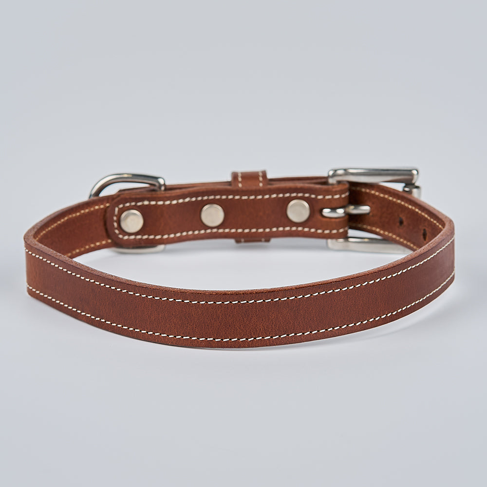 The Ollie Bison Collar by Hanks Belts features brown leather with white stitching, metal hardware, and four silver rivets, shown on a light gray background.