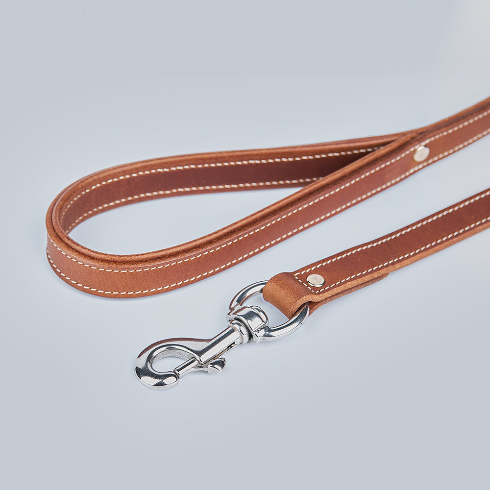 The Kodak Bison Leash by Hanks Belts is a brown bison leather dog leash with white stitching and a metal clasp, shown coiled neatly on a light gray background.