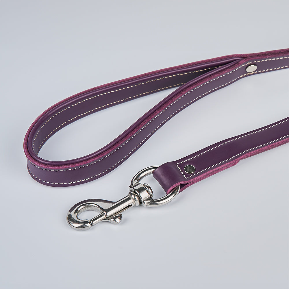 The Hanks Belts Rover Standard Leash, made of purple English bridle leather with white stitching and a silver clasp, is displayed on a light gray background.