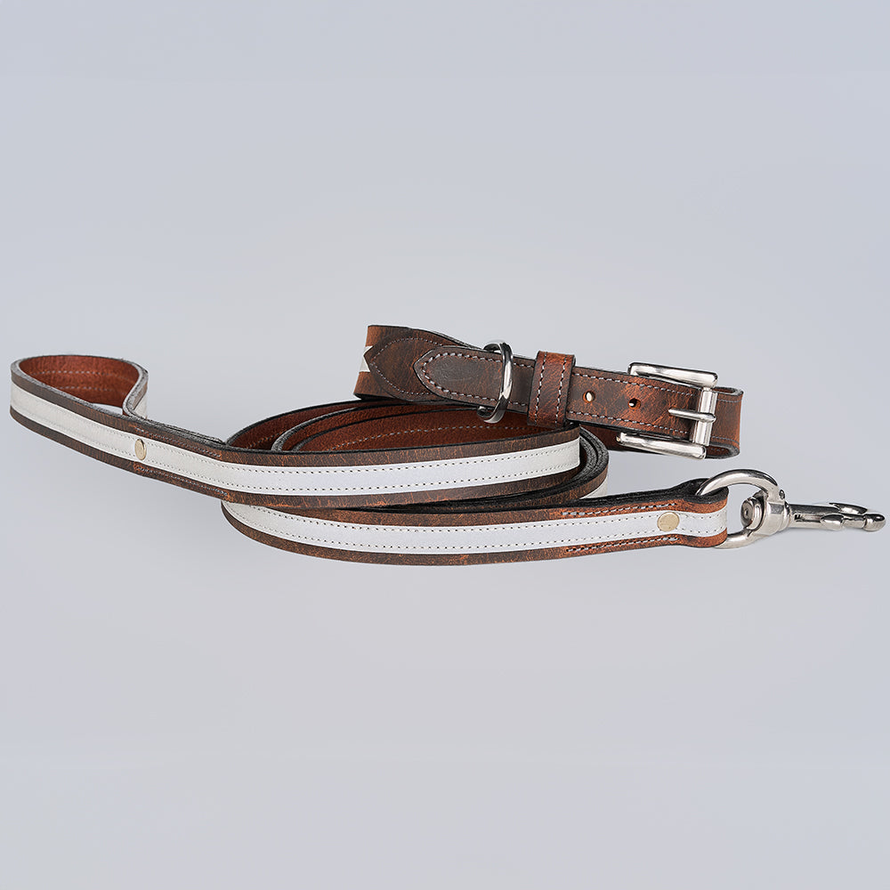 The Remi Reflective Collar by Hanks Belts, crafted from durable bison leather with white accents and metal hardware, is paired with a matching leash and displayed coiled on a light gray background.