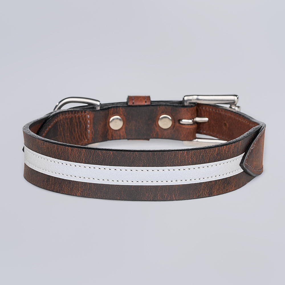 The Remi Reflective Collar by Hanks Belts is a brown bison leather dog collar with a white reflective strip, metal buckle, and sturdy D-ring, shown on a light gray background.