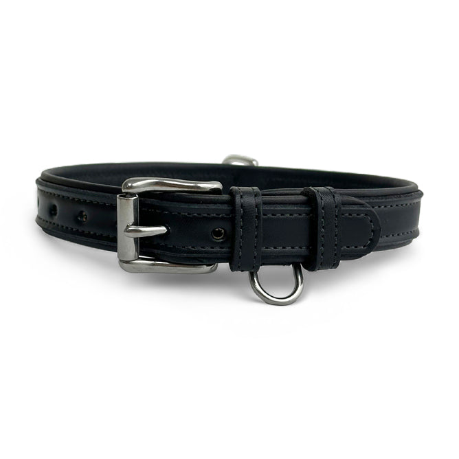 Leather Dog Rover Collar