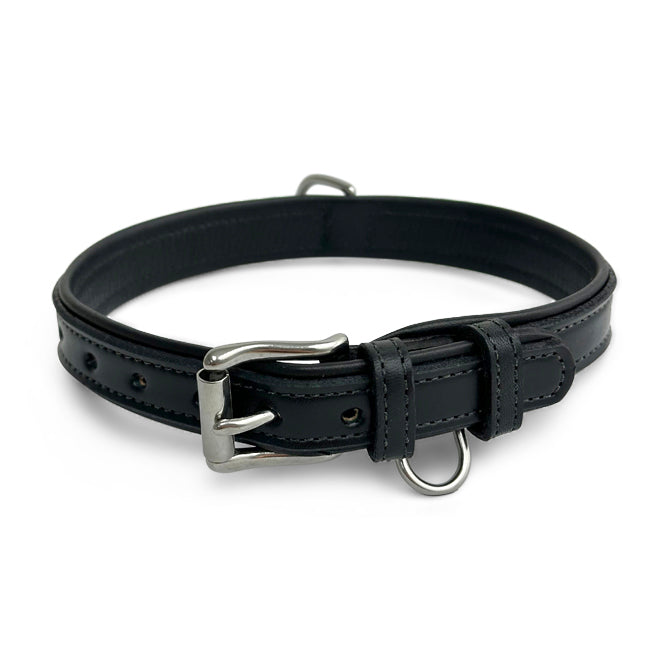 Leather Dog Rover Collar