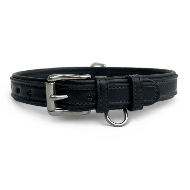 Leather Dog Rover Collar