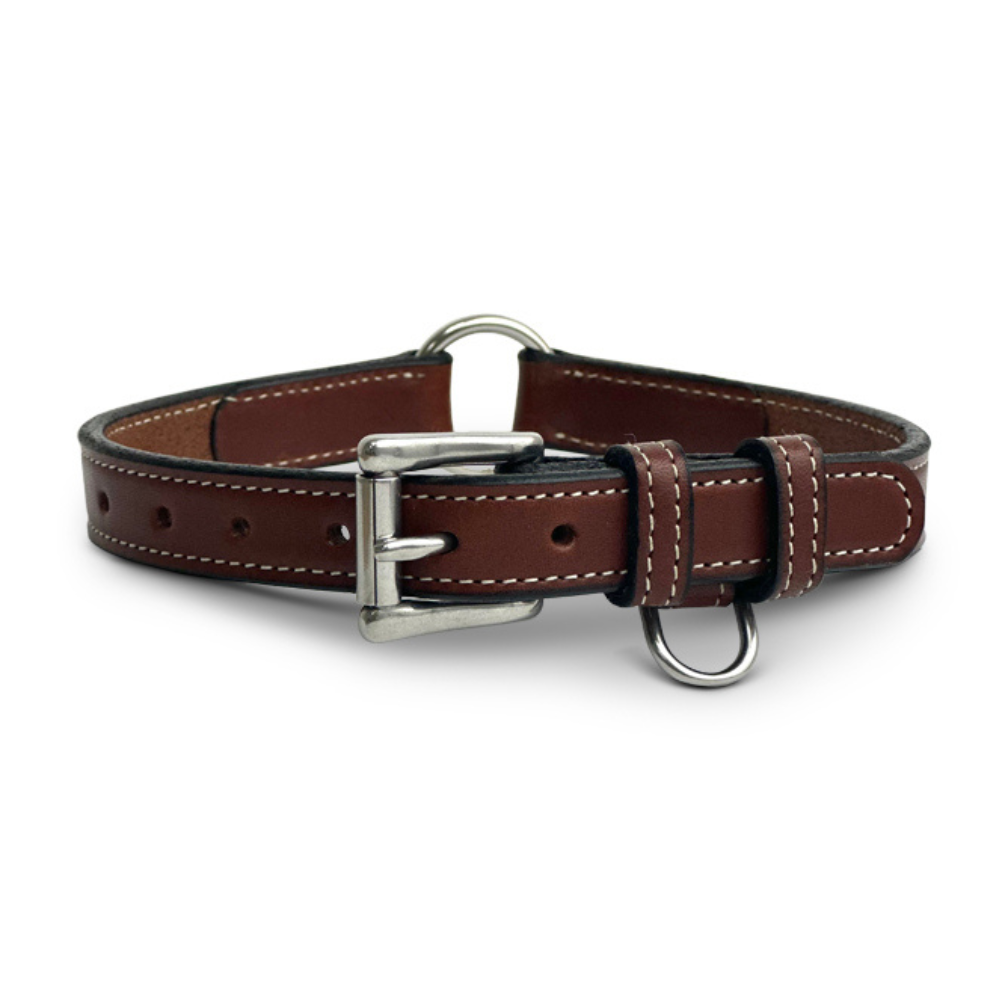 Leather Dog Collar w D Ring