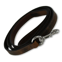 Ollie Leash