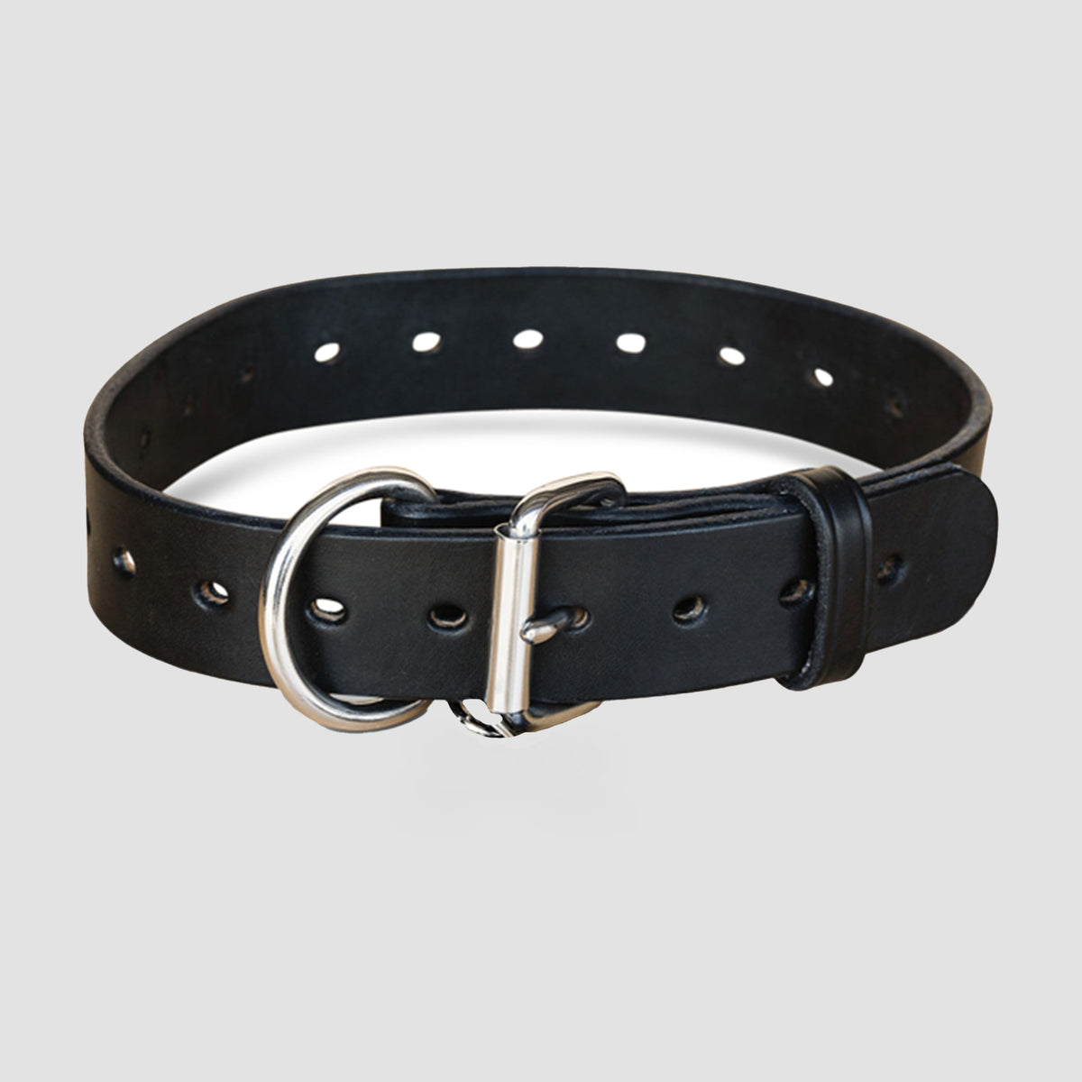 The Big Ass Dog Collars for Big Ass Dogs by Hanks Belts is a black leather collar with multiple holes, a strong silver buckle, and a D-ring, shown against a plain light gray background.