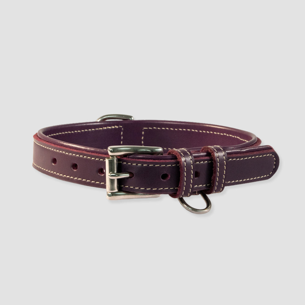 The Rover Standard Collar by Hanks Belts is a dark brown, premium vegetable-tanned leather dog collar with white stitching, silver metal buckle, and D-rings, shown on a light gray background.