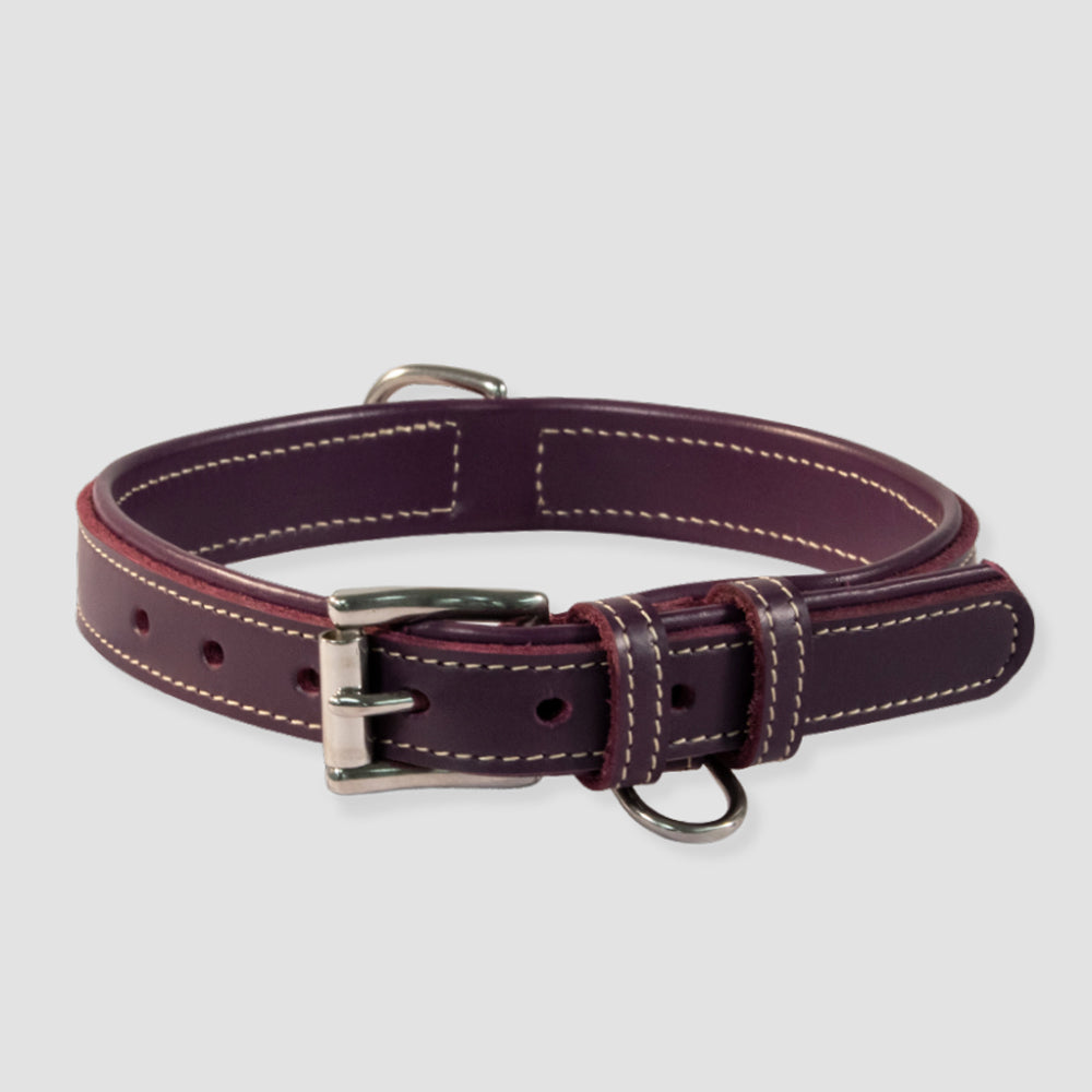 The Rover Standard Collar by Hanks Belts is a dark brown, vegetable-tanned leather dog collar featuring white stitching, a silver metal buckle, and two D-rings, shown on a light gray background.
