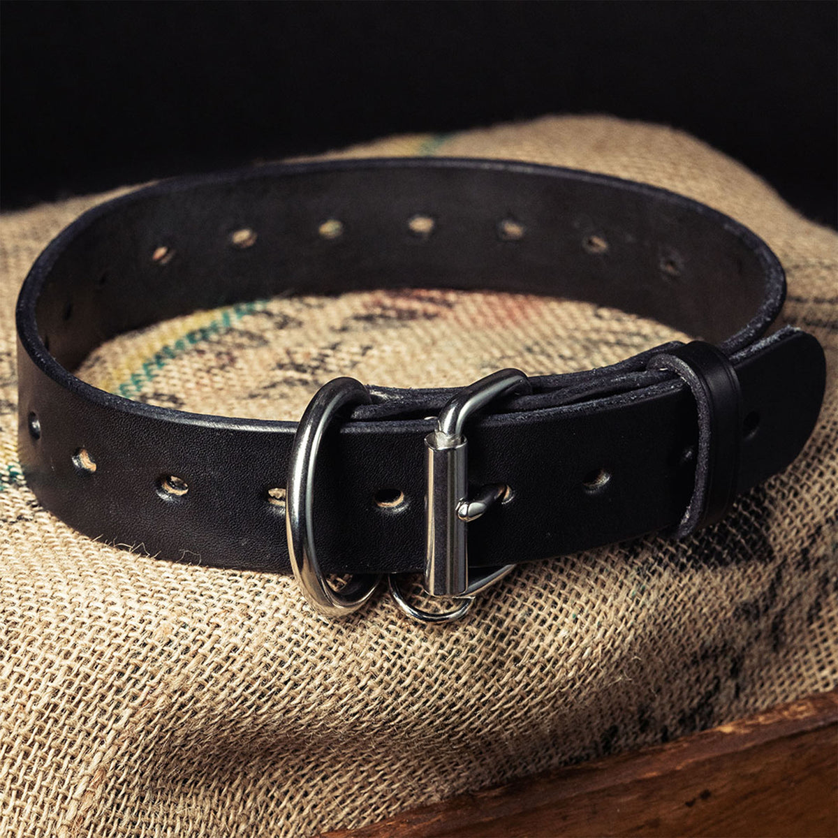 The Hanks Belts Big Ass Dog Collars for Big Ass Dogs, made from full-grain leather with a metal buckle and D-rings, is coiled on burlap, showcasing its heavy-duty build ideal for large breeds.