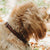 Bentley Collar - Brown
