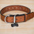 Big Ass Dog Collars for Big Ass Dogs