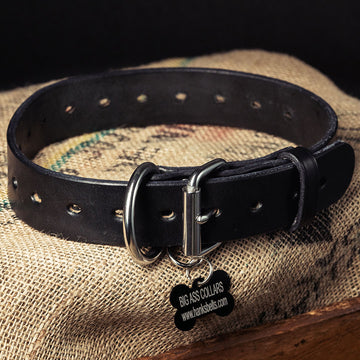 Collars for large dogs - Premium accessories